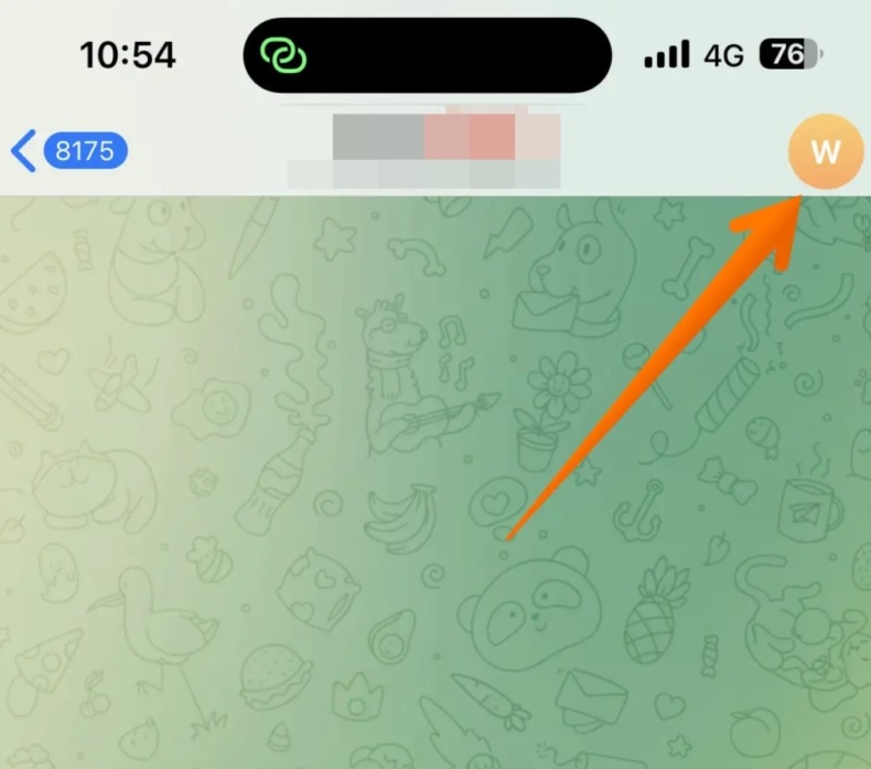 Telegram下载后黑屏怎么解决